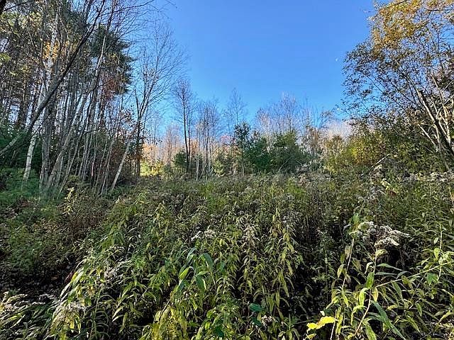 0 Route 132 Strafford, VT 05072 - Thumbnail 4