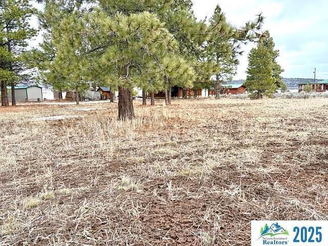 0 Chestnut Way Susanville, CA 96130 - Thumbnail 4