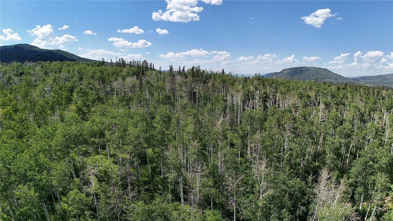 LOT 23 Gallop Trl Oak Creek, CO 80467 - Thumbnail 4