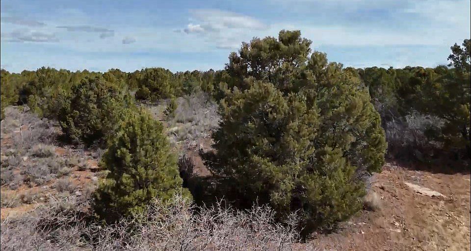 LOT 1 Road J7 Egnar, CO 81325 - Thumbnail 4