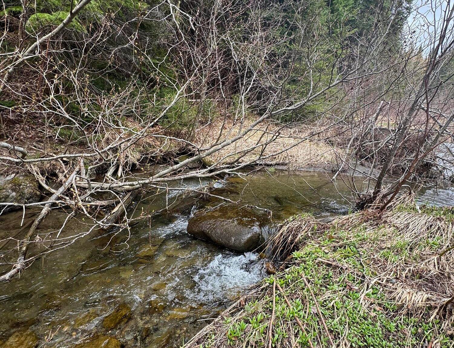 Lots3 4 5a Beaulieu Rd Madawaska, ME 04756 - Thumbnail 4