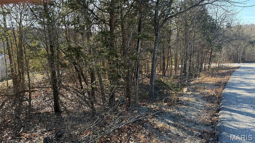 0 Sassafras Dr Hillsboro, MO 63050 - Thumbnail 4