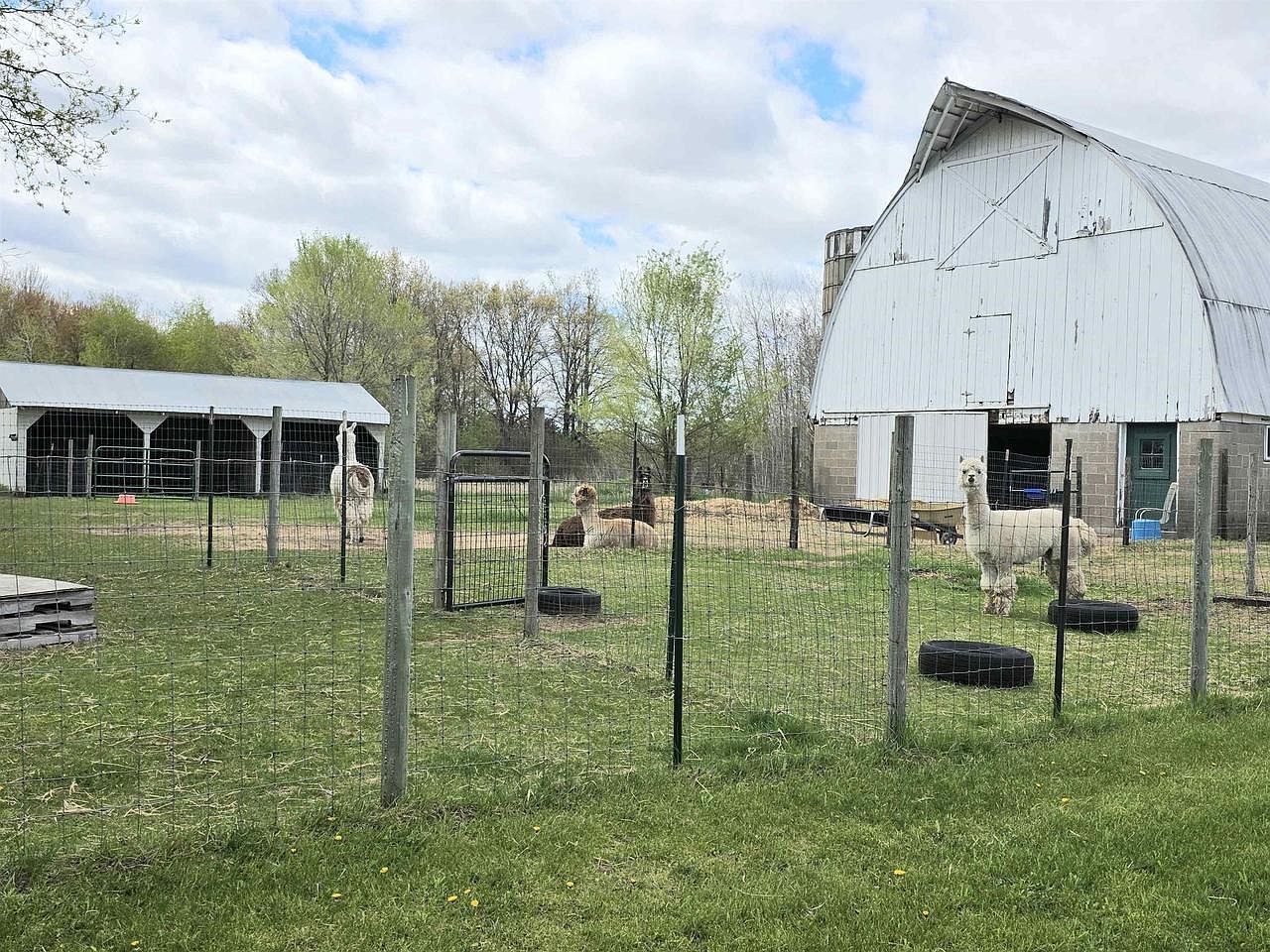 W6581 Meyer Rd New Lisbon, WI 53950 - Thumbnail 4