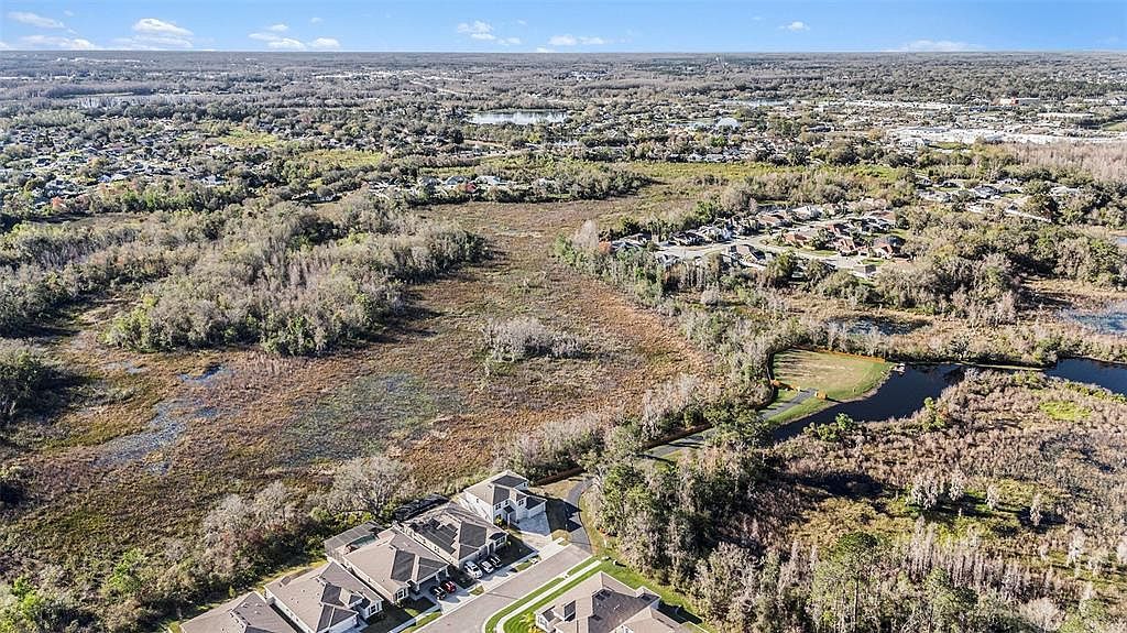 22990 Scaglione Dr Lutz, FL 33549 - Thumbnail 4