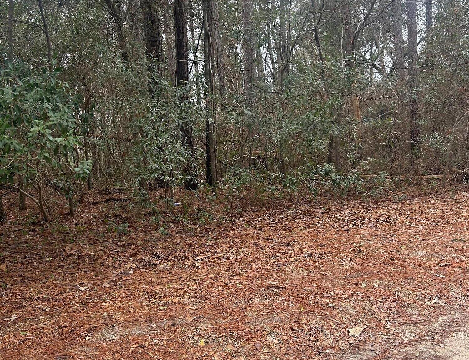 103 Dogwood Ln Sneads Ferry, NC 28460 - Thumbnail 4