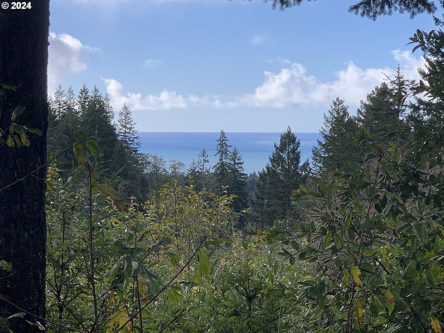 Duley Crk #501/503 Brookings, OR 97415 - Thumbnail 4