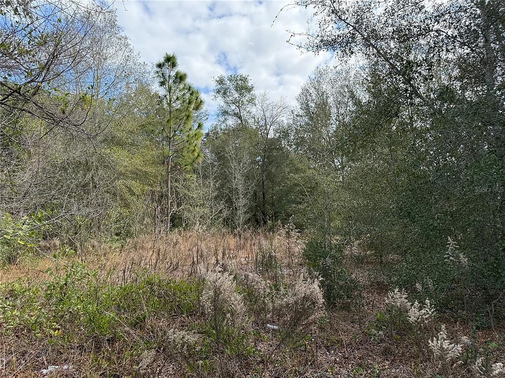 SE 92nd Ct Belleview, FL 34420 - Thumbnail 4