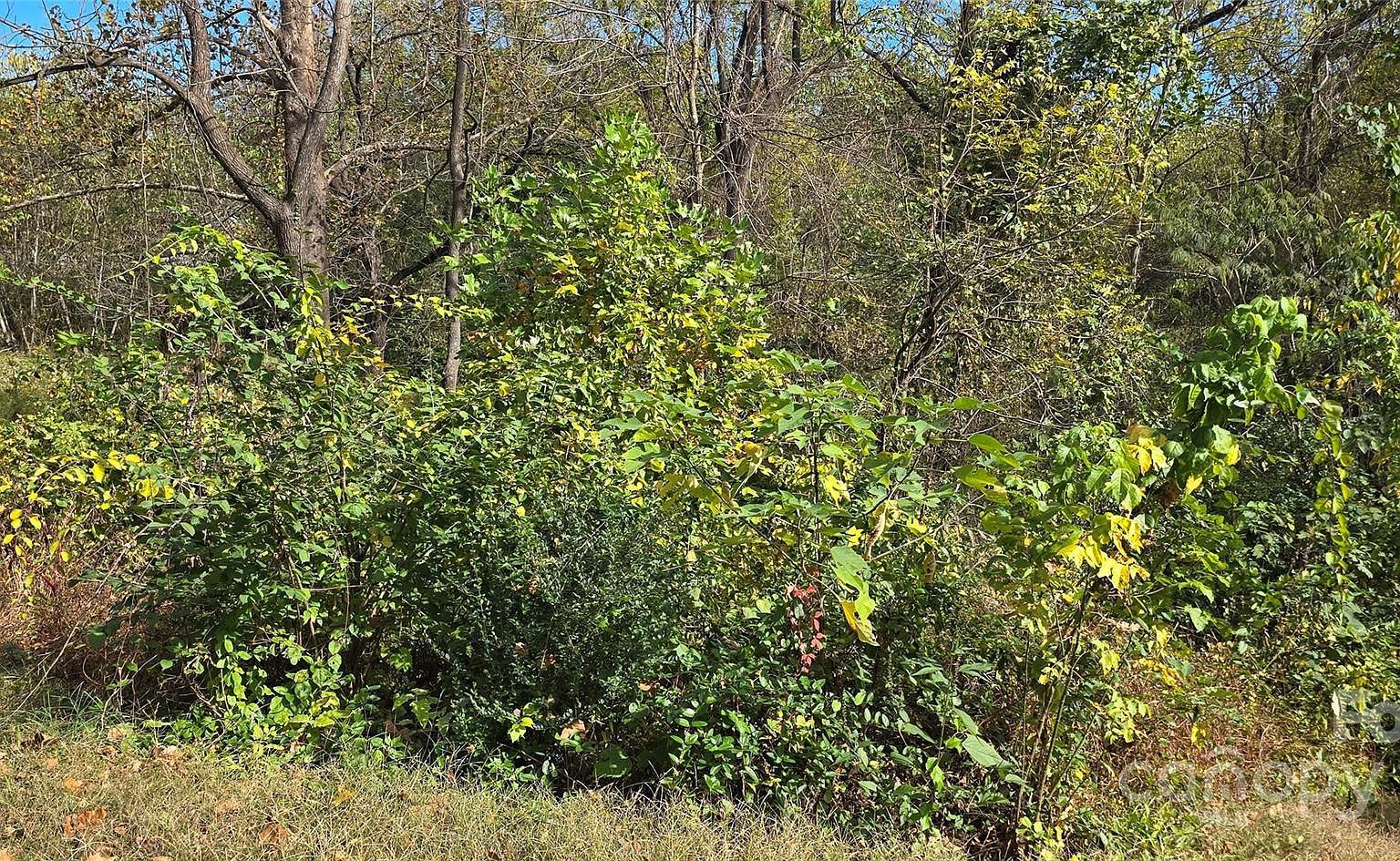 520 Healan Pl Lenoir, NC 28645 - Thumbnail 4