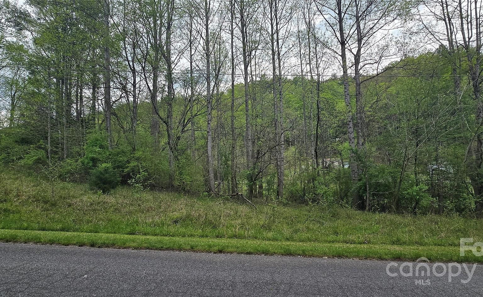 0 Indian Trl Lenoir, NC 28645 - Thumbnail 4