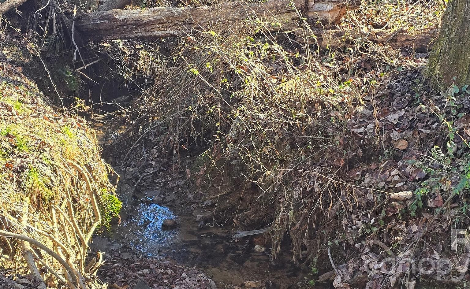 0 Peak Pl NW Lenoir, NC 28645 - Thumbnail 4