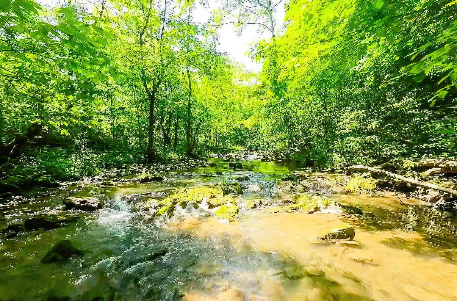 Eb Hollow Rd Eidson, TN 37731 - Thumbnail 4