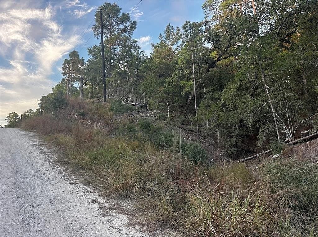 170 Molokini Dr Bastrop, TX 78602 - Thumbnail 4