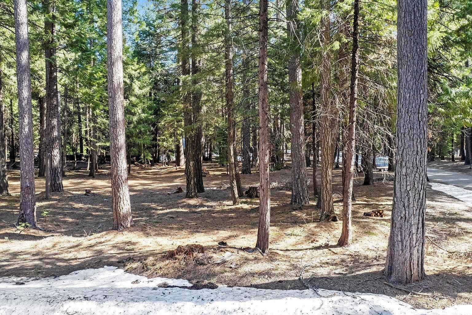 LOT 6 Colossians Way Shingletown, CA 96088 - Thumbnail 4