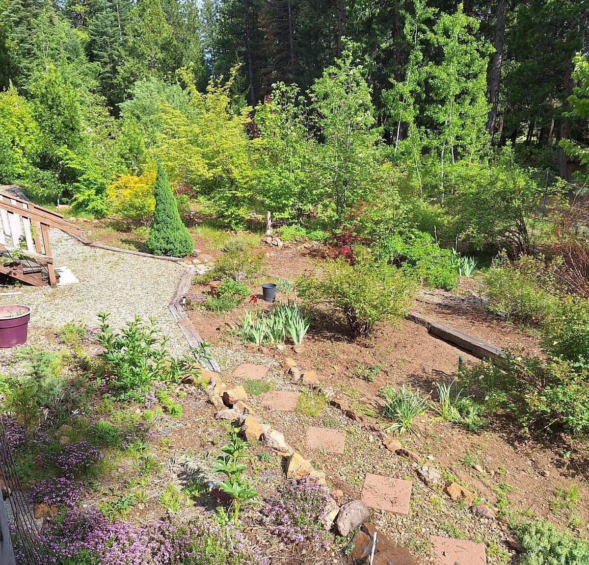 36088 Deer Flat Rd Shingletown, CA 96088 - Thumbnail 4