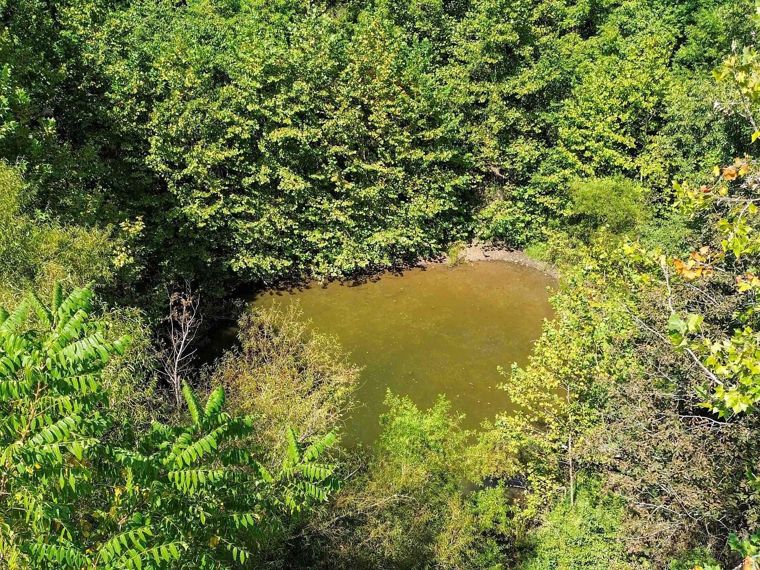 9701 Saloma Rd Campbellsville, KY 42718 - Thumbnail 4