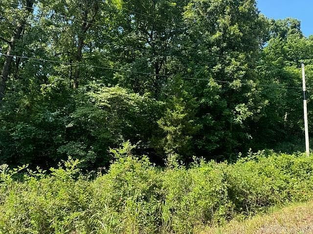 Springview Rd Pocahontas, AR 72455 - Thumbnail 4