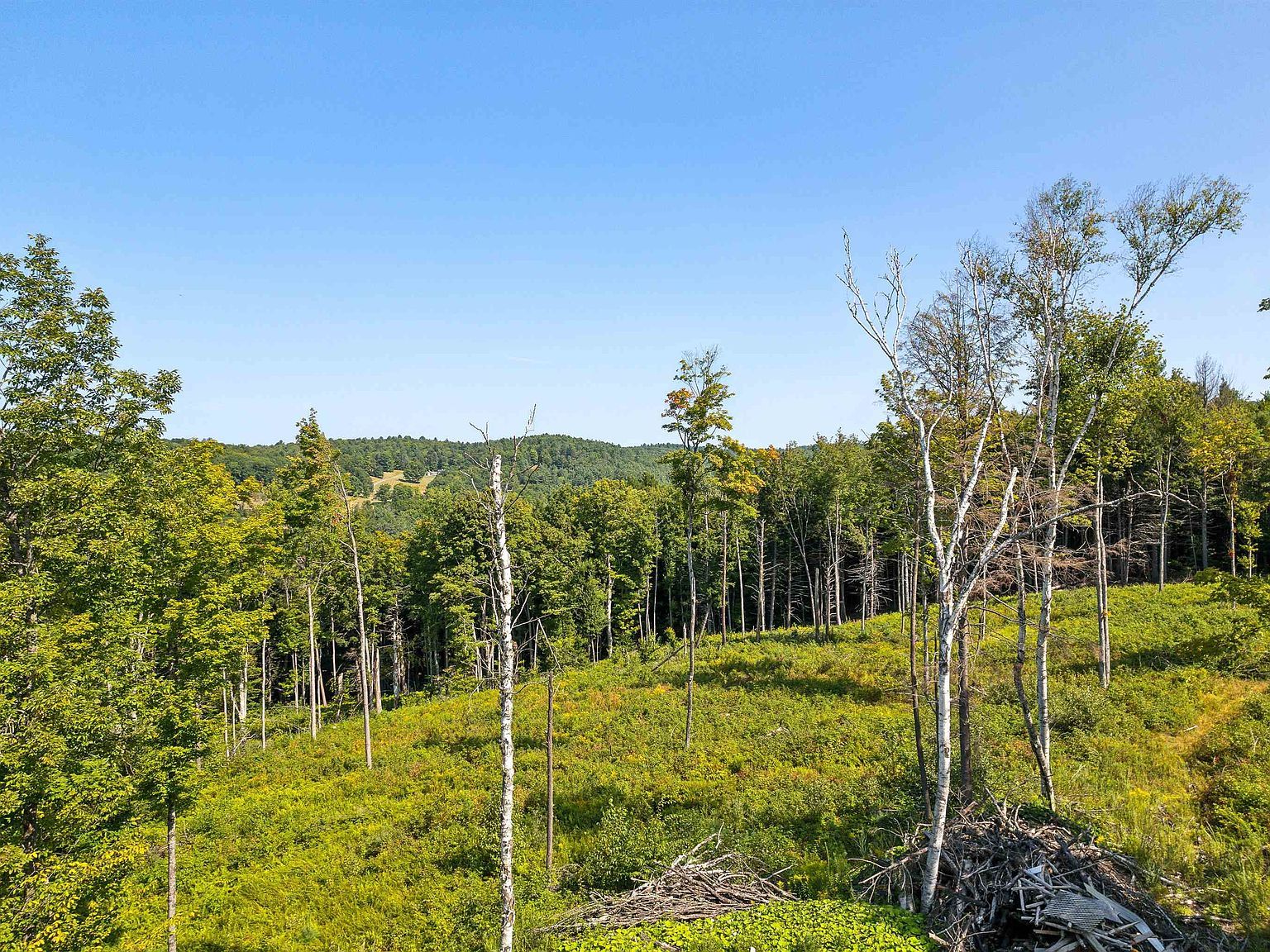 0 Wildlife Rd White River Junction, VT 05001 - Thumbnail 4