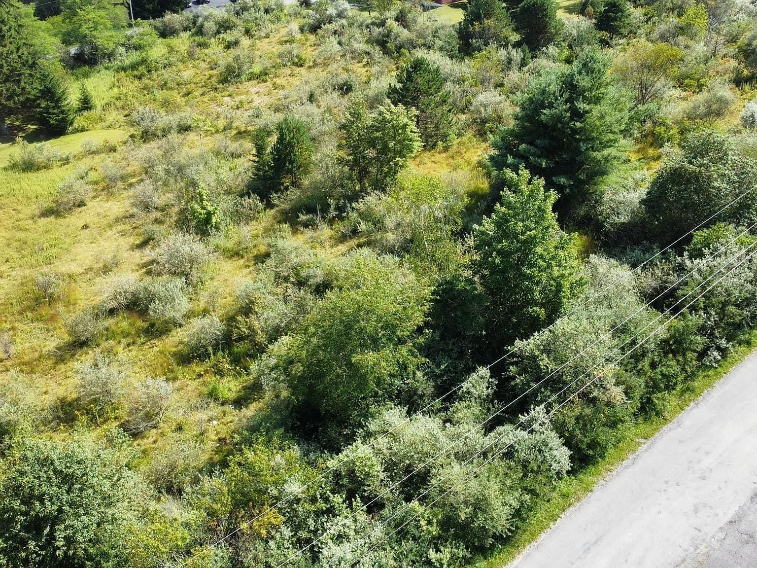 52 Bobolink Dr Terra Alta, WV 26764 - Thumbnail 4