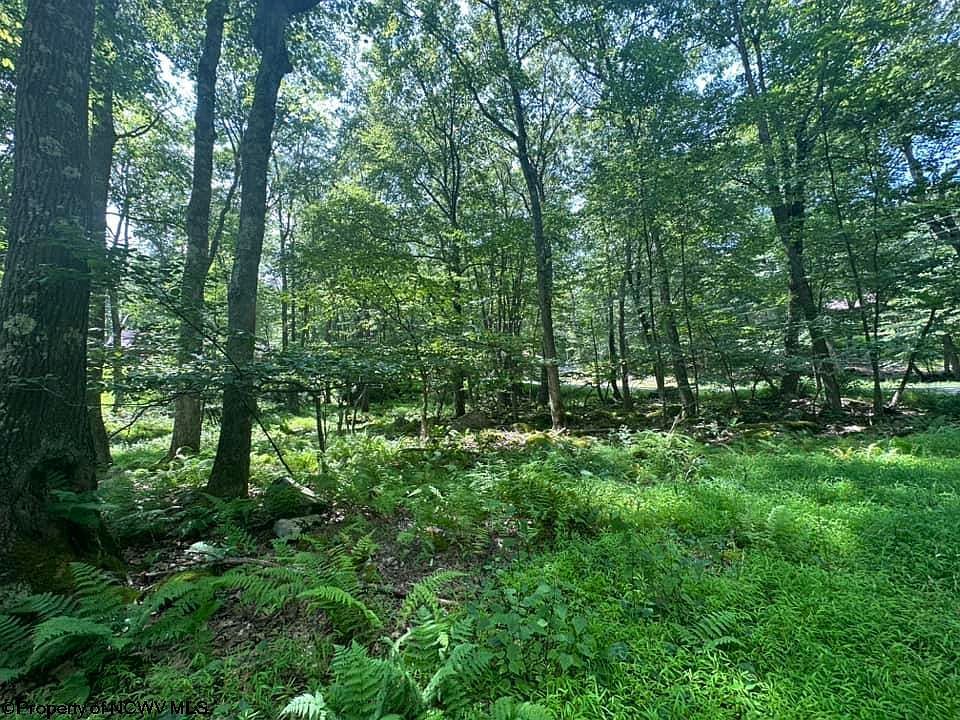 10 Aster Dr Terra Alta, WV 26764 - Thumbnail 4