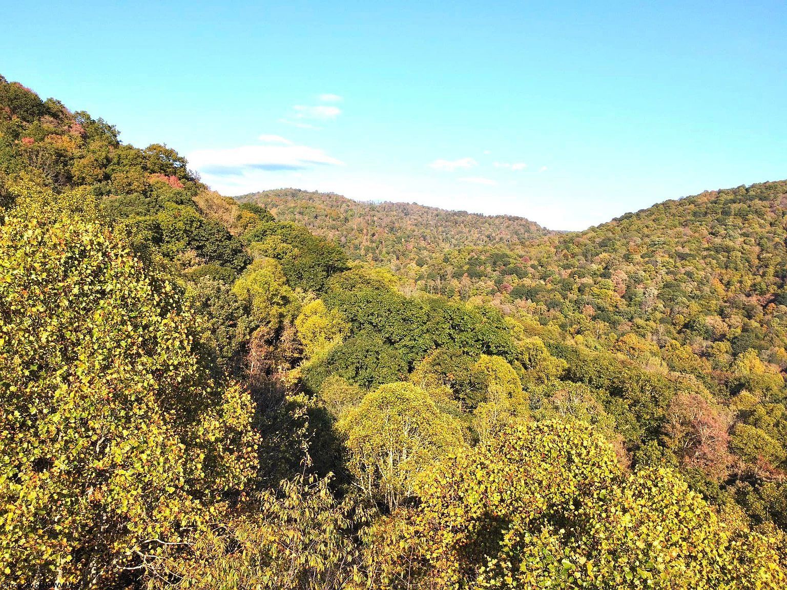 7 Cannon Hill Rd Rowlesburg, WV 26425 - Thumbnail 4