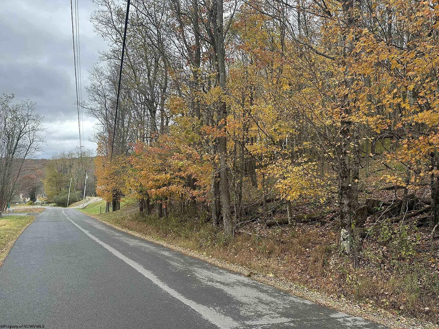125/51 W Alpine Dr Terra Alta, WV 26764 - Thumbnail 4