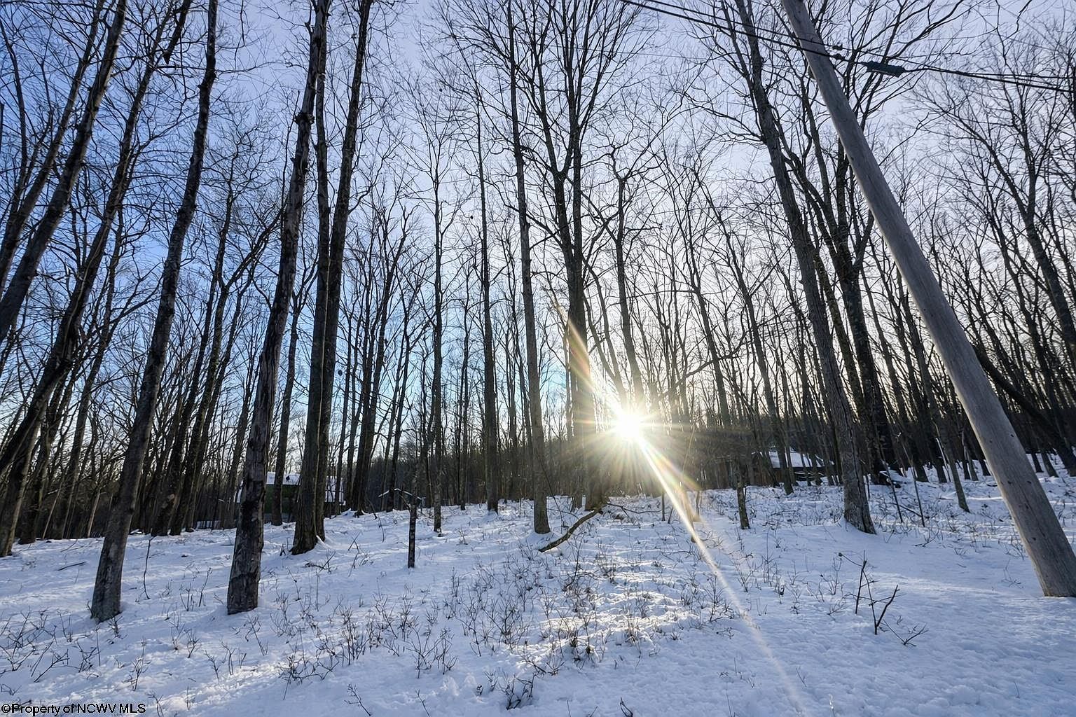 Hemlock Cir Terra Alta, WV 26764 - Thumbnail 4