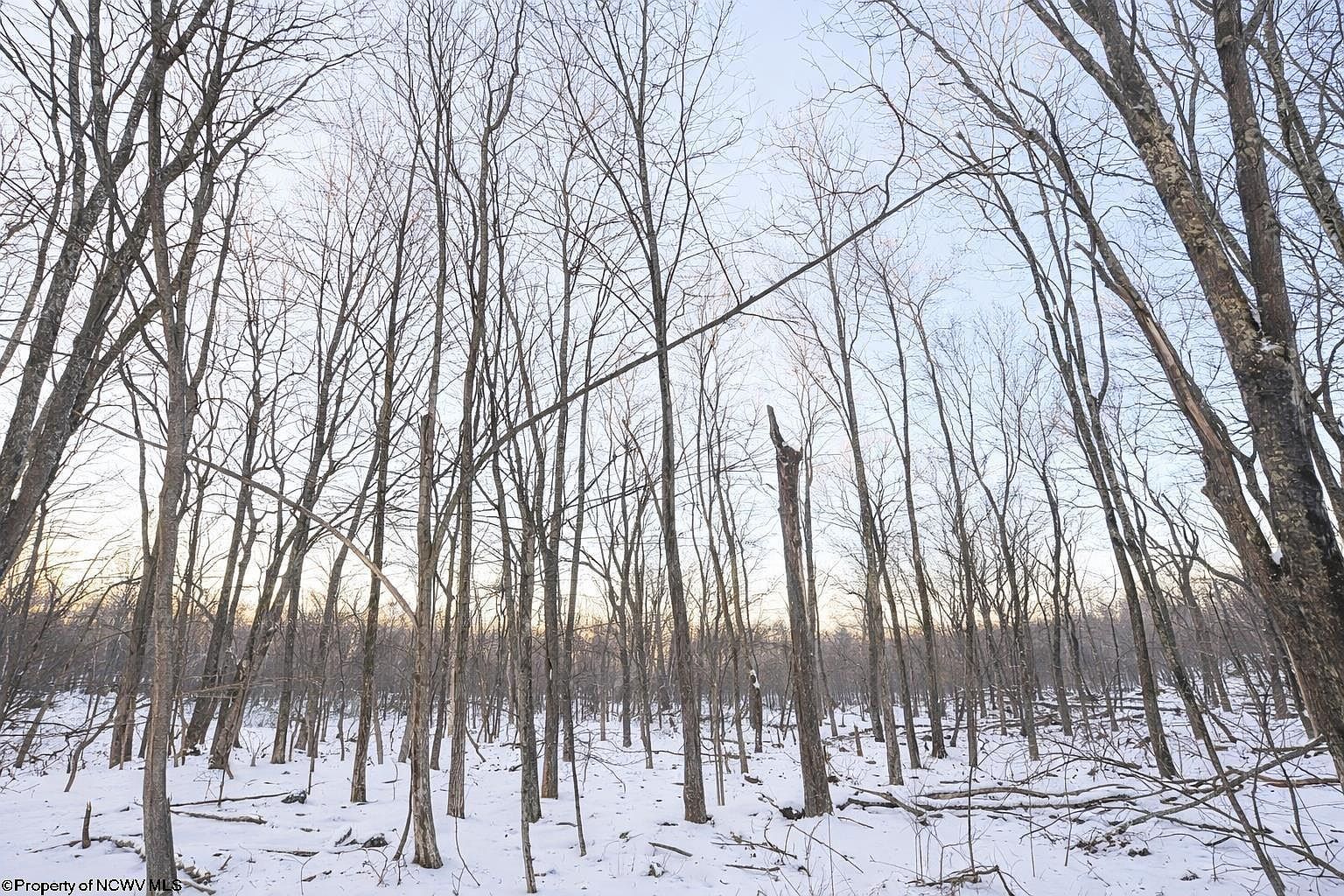 Columbine Cir Terra Alta, WV 26764 - Thumbnail 4