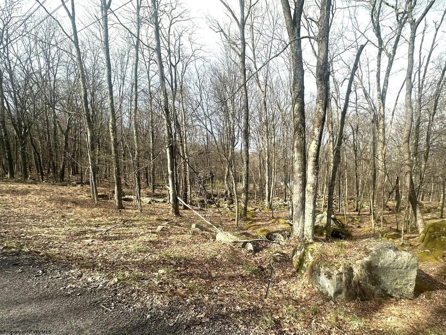 216 Aster Cir Terra Alta, WV 26764 - Thumbnail 4