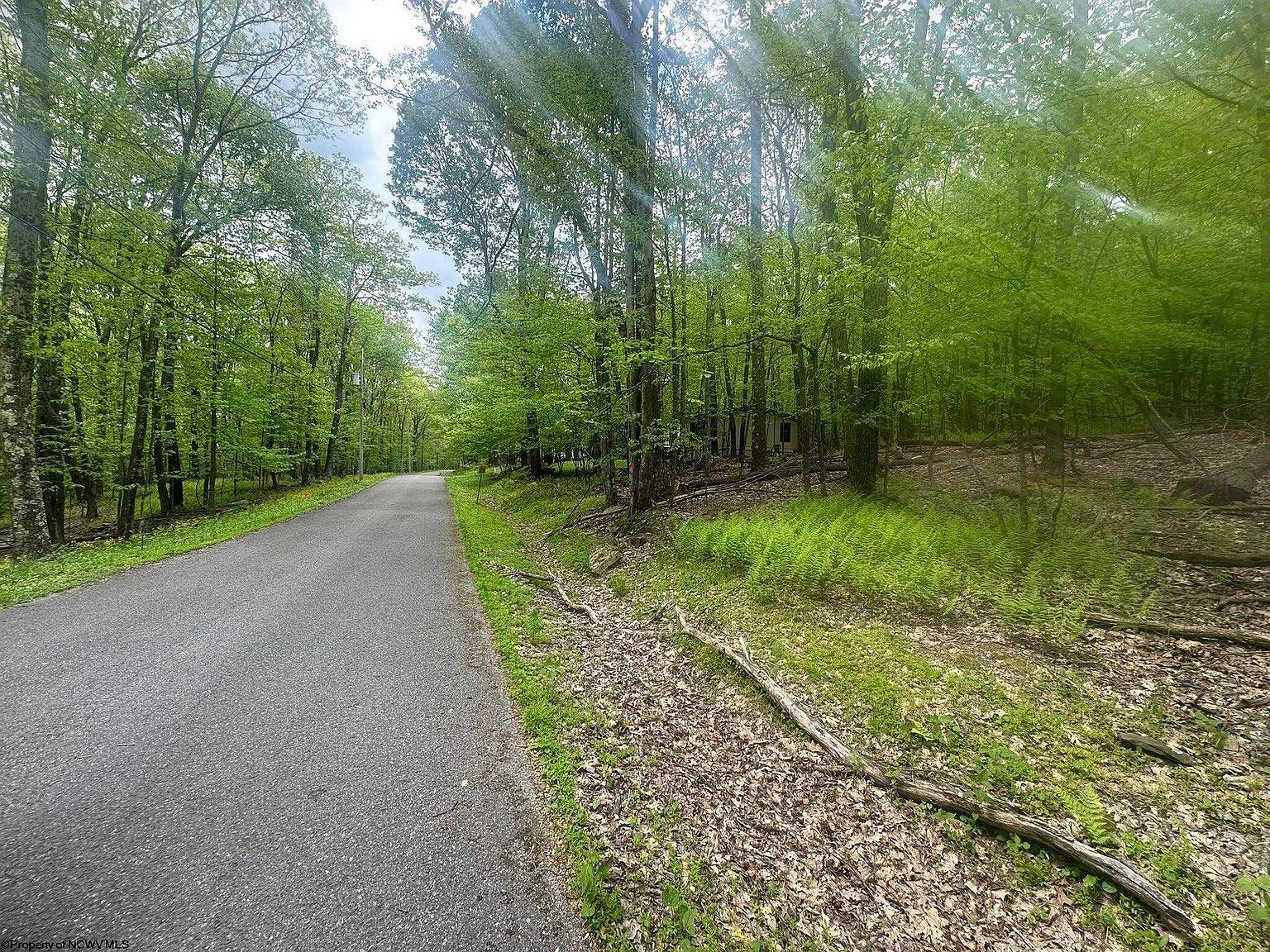 197 Woodbine Dr Terra Alta, WV 26764 - Thumbnail 4