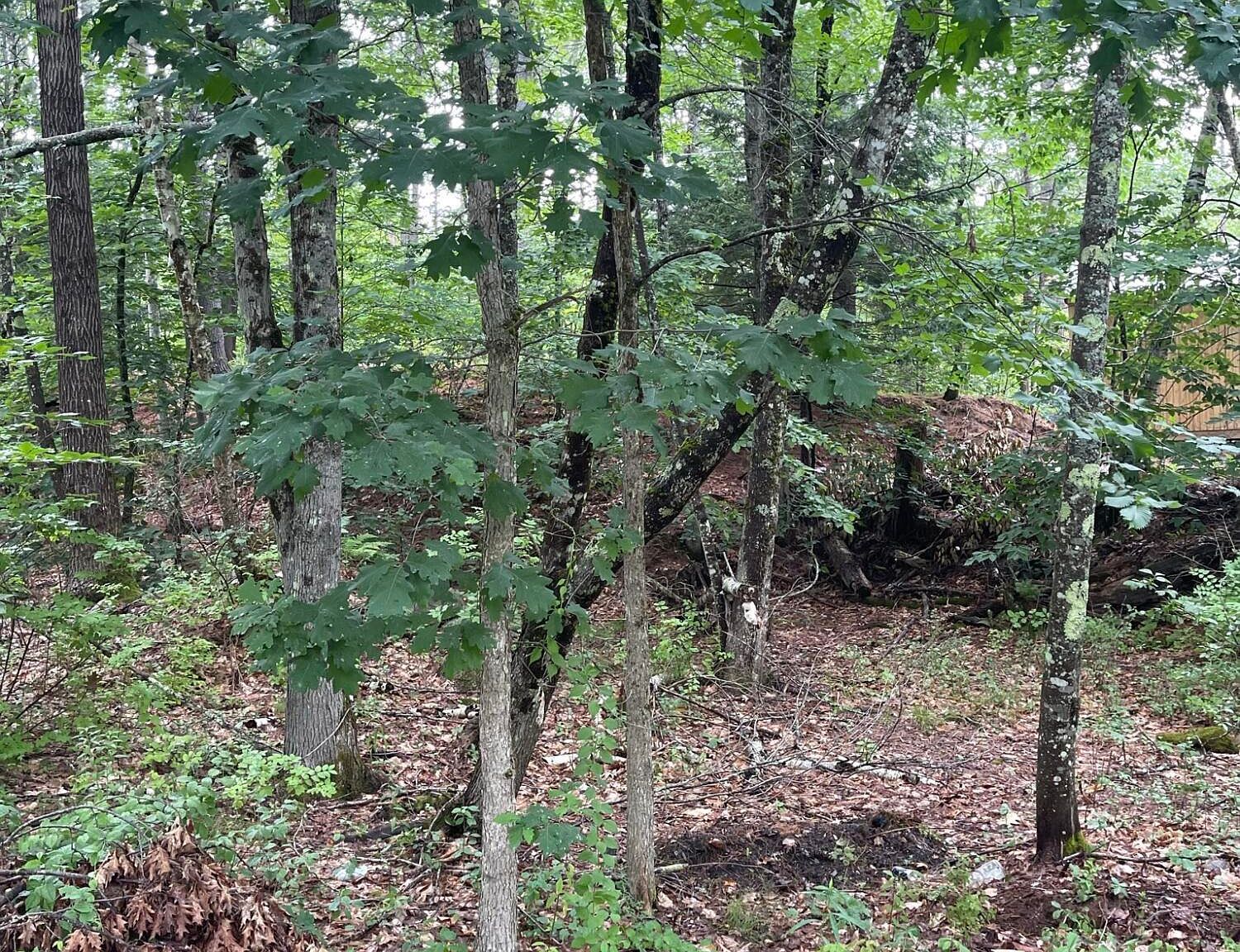 11 Dillingham Rd Naples, ME 04055 - Thumbnail 4