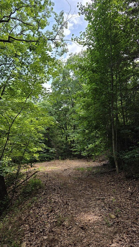 0 Talon Dr Murphy, NC 28906 - Thumbnail 4