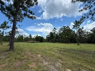 1704 Watson Rd Defuniak Springs, FL 32433 - Thumbnail 4