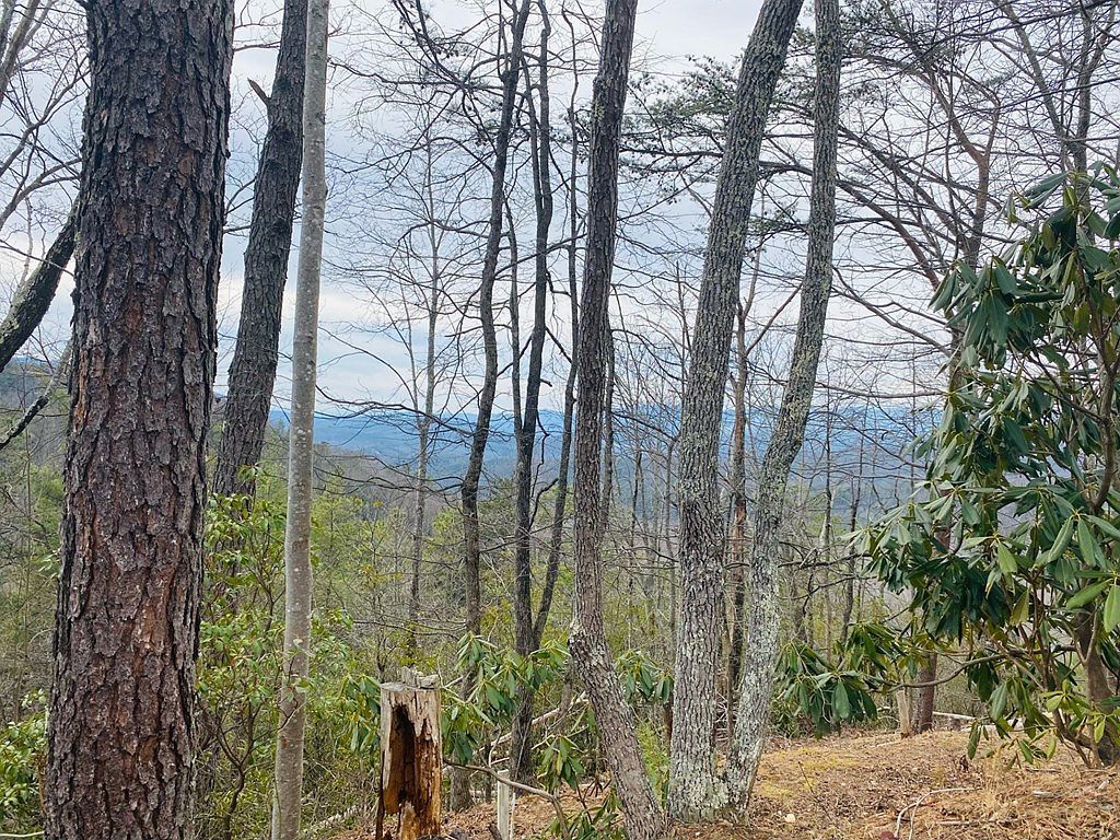 LOT 46 Ridge View Dr Andrews, NC 28901 - Thumbnail 4