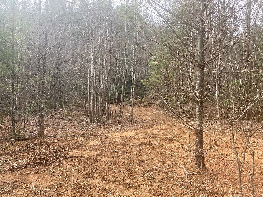 0 Flea Mountain Rd Murphy, NC 28906 - Thumbnail 4