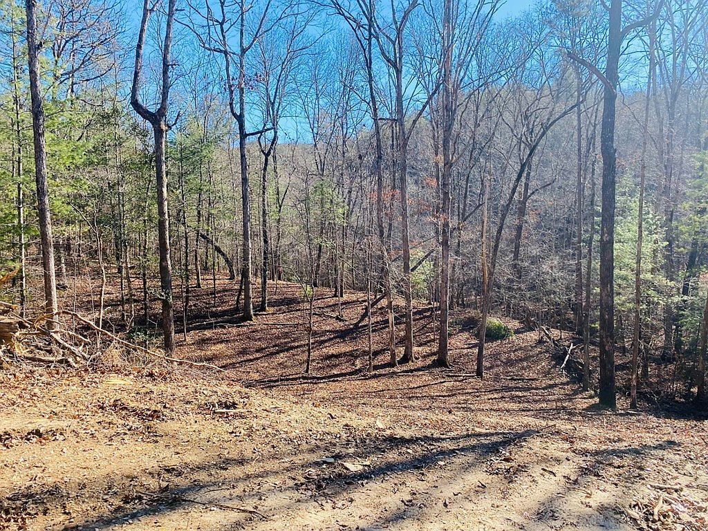 LOT 205 Windy Mountain Peak Murphy, NC 28906 - Thumbnail 4