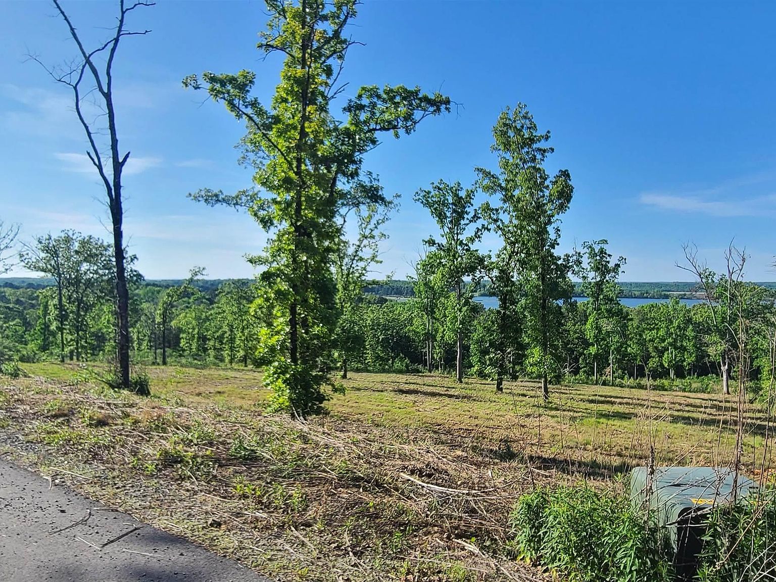 230 Waterview Dr Conway, AR 72032 - Thumbnail 4