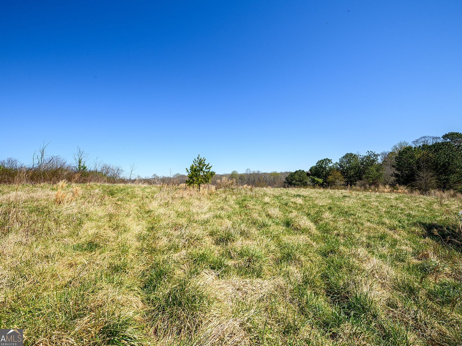 0 Dee Kennedy Rd Auburn, GA 30011 - Thumbnail 4