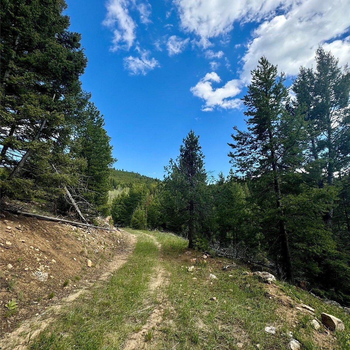 Nhn Perkins Gulch Rd Anaconda, MT 59711 - Thumbnail 4