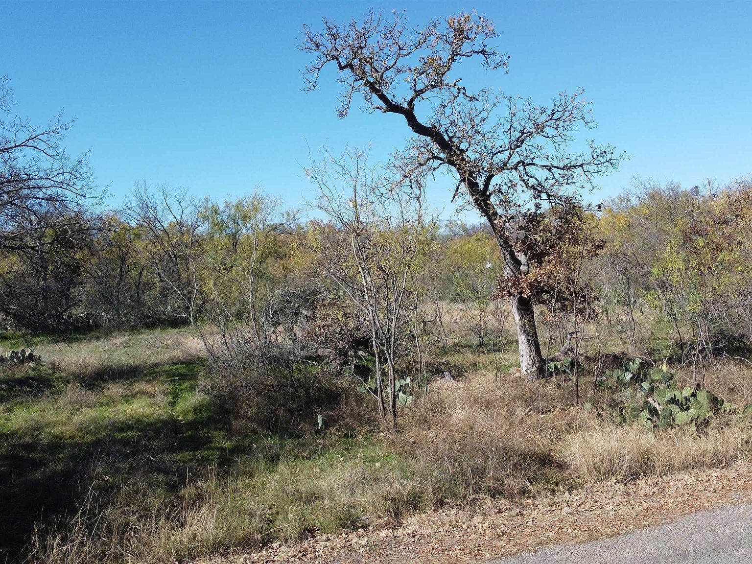 0 Deep Forest Dr Marble Falls, TX 78654 - Thumbnail 4