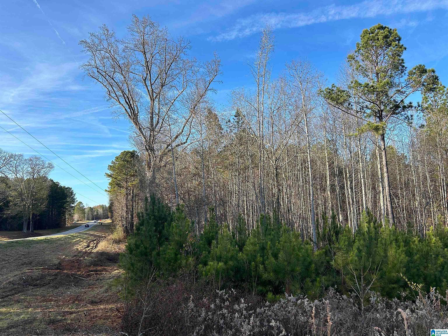 0 Highway 431 #0 Heflin, AL 36264 - Thumbnail 4