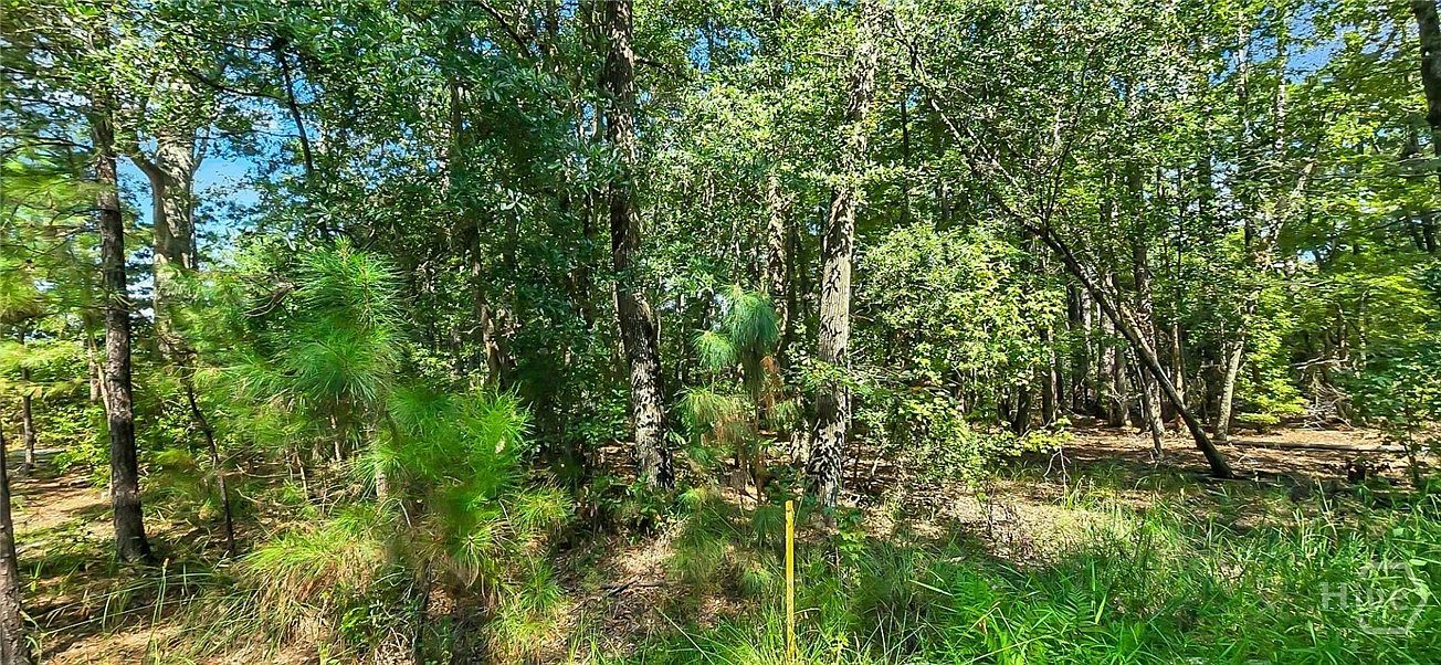 0 4th Ave Guyton, GA 31312 - Thumbnail 4