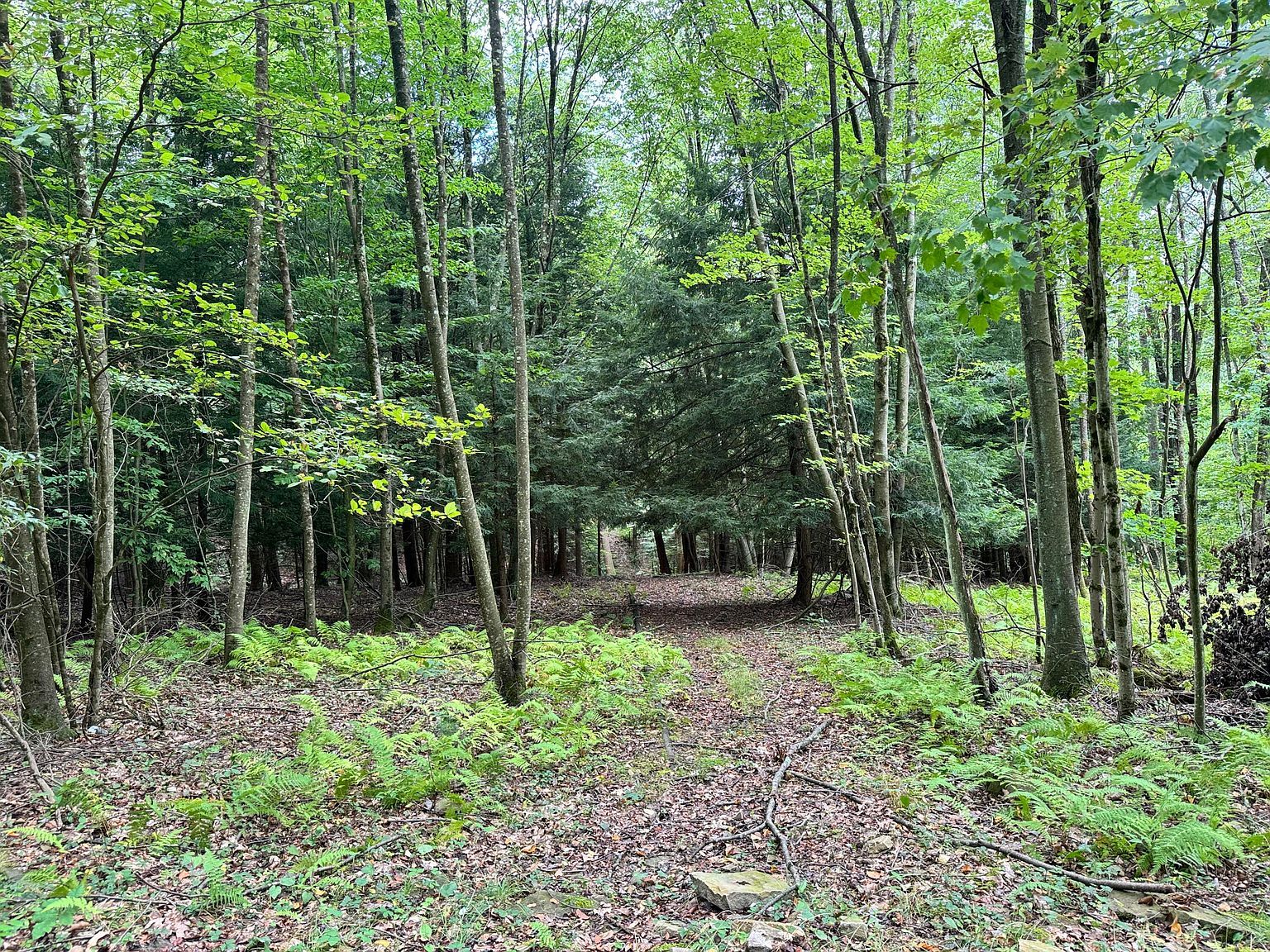 0 Ishman Rd Brookville, PA 15825 - Thumbnail 4