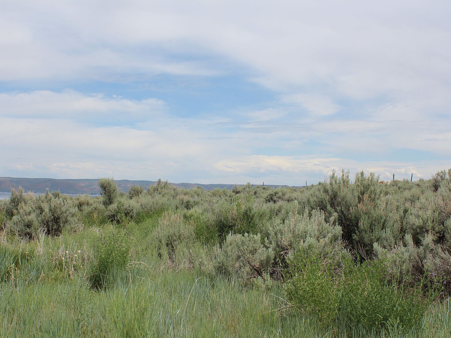 100 Lotus Dr Fish Haven, ID 83287 - Thumbnail 4