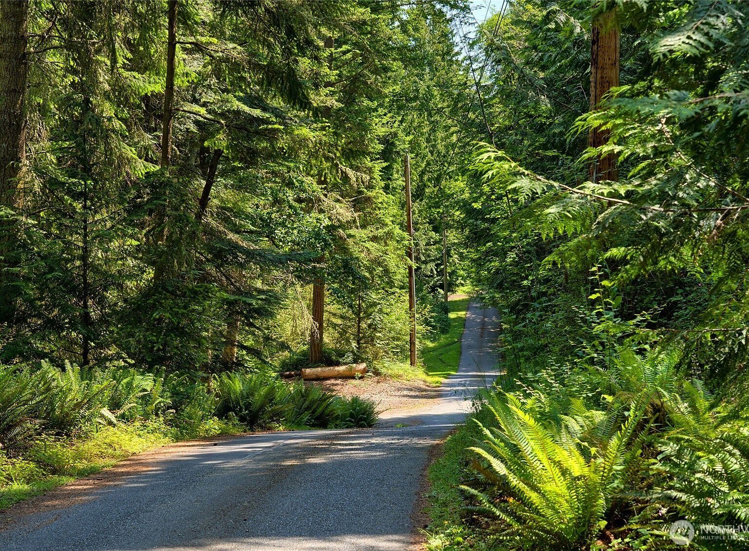 3596 Green Cliffs Rd Anacortes, WA 98221 - Thumbnail 4