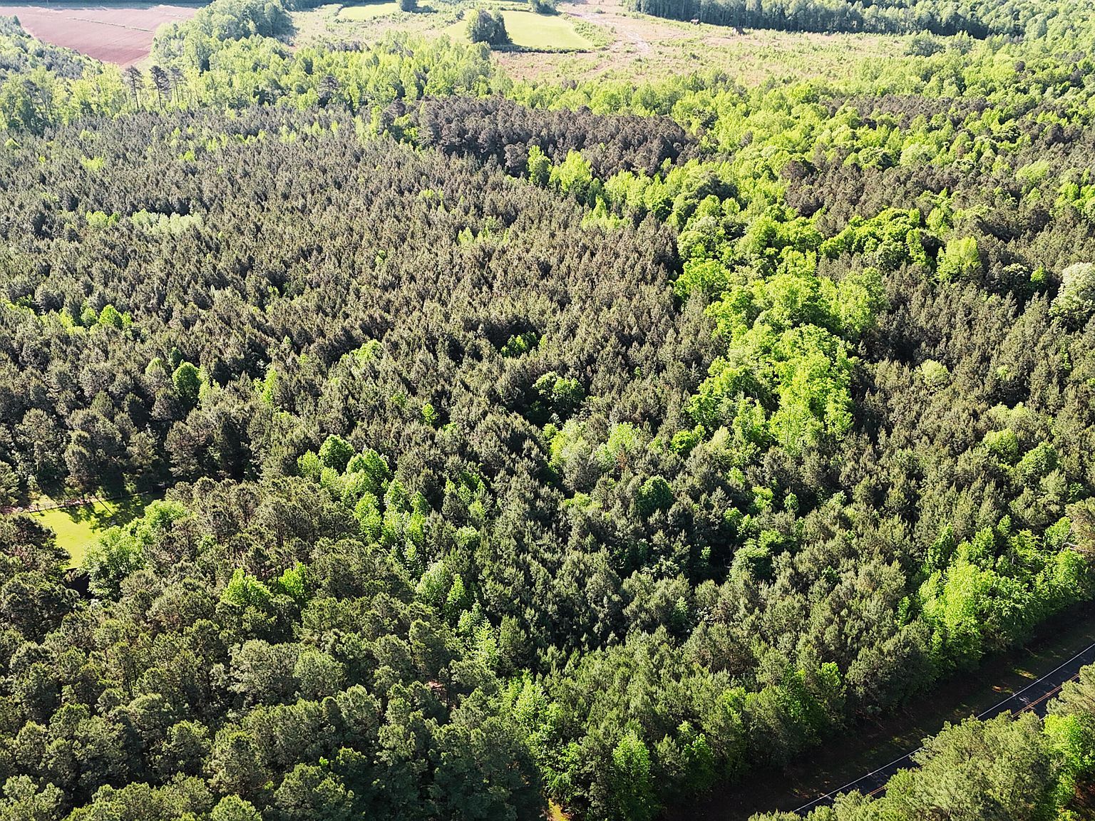 642 Breedlove Rd Louisburg, NC 27549 - Thumbnail 4