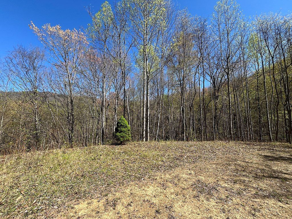 359 Loon Ln Whittier, NC 28789 - Thumbnail 4