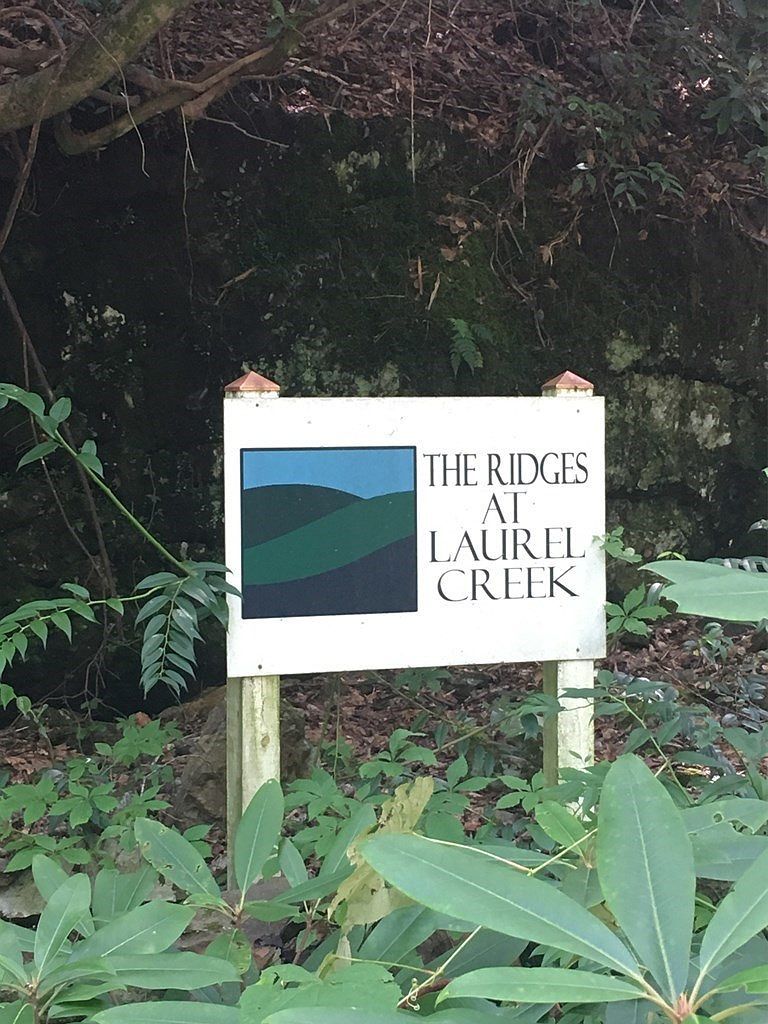 LOT 1A Laurel Crk Bryson City, NC 28713 - Thumbnail 4