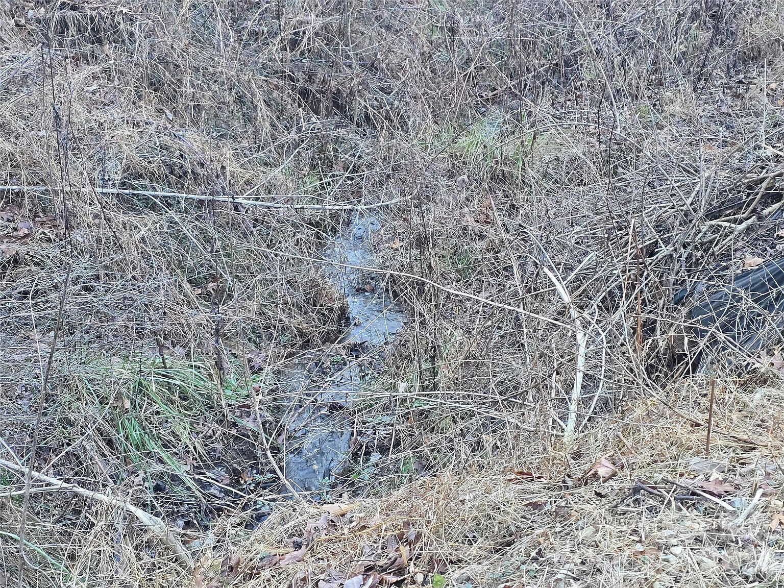 321 Mount Keys Dr Bryson City, NC 28713 - Thumbnail 4