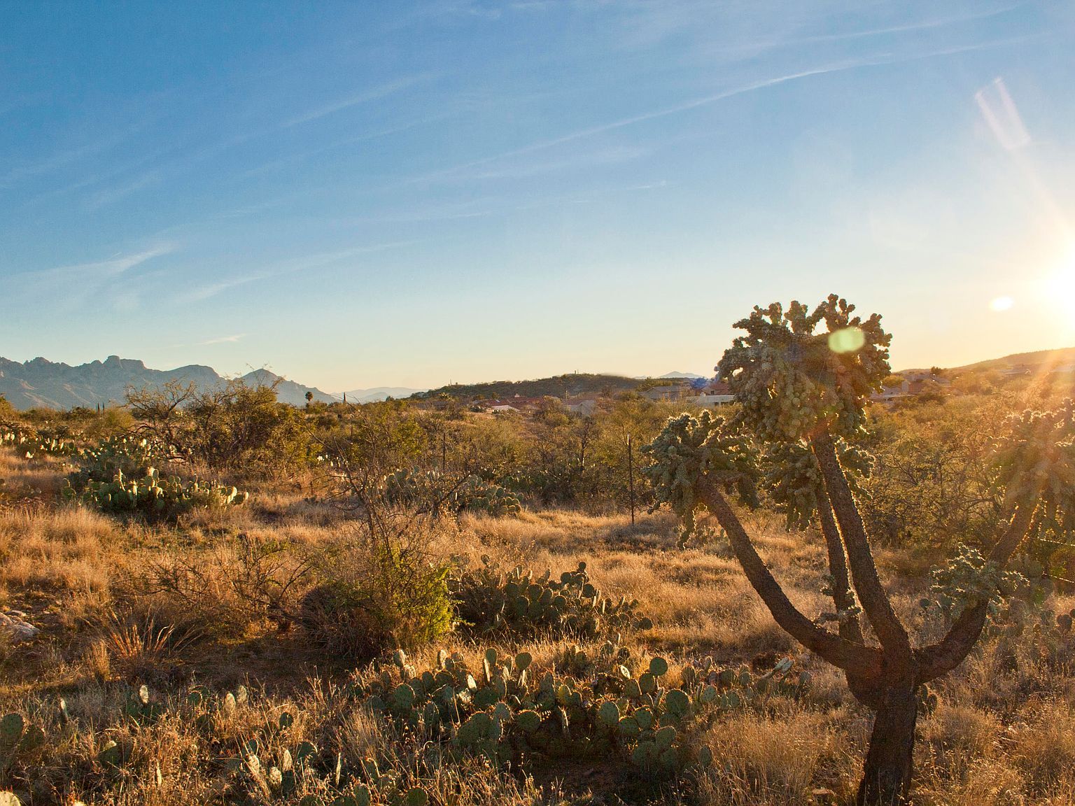 0 E Calle Rosa Linda #3 Tucson, AZ 85739 - Thumbnail 4