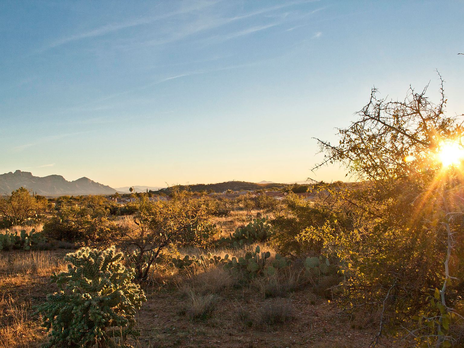 0 E Calle Rosa Linda #2 Tucson, AZ 85739 - Thumbnail 4